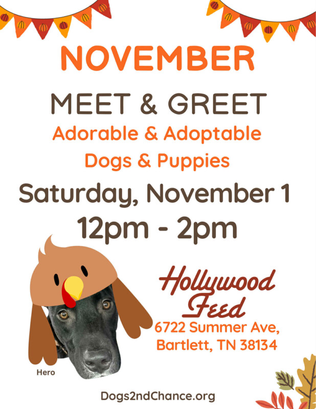 November Meet & Greet Adorable and Adoptable Dogs and Puppies. Saturday November 1 2025, 12pm-2pm, Hollywood Feed, 6722 Summer Ave., Bartlett TN 38134