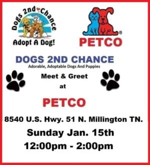MEET & GREET ADOPTABLE, ADORABLE DOGS AND PUPPIES SUNDAY JAN 15, 12-2PM,A PETCO, 8540 U.S. HWY 51, N. MILLINGTON, TN