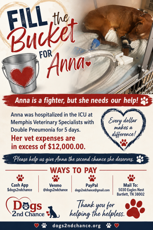 Anna $12,000 bill