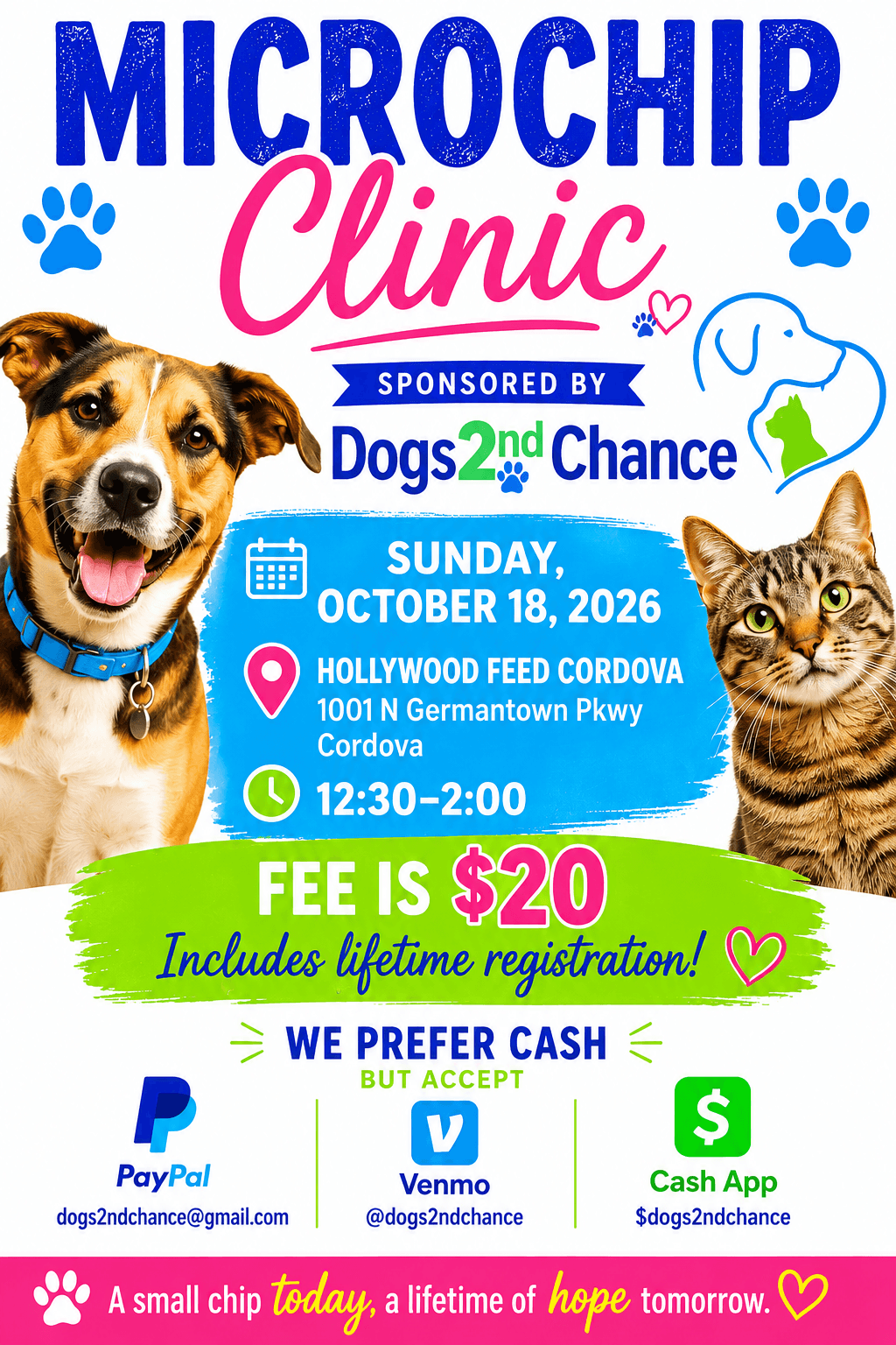 Microchip Hollywood Feed Cordova