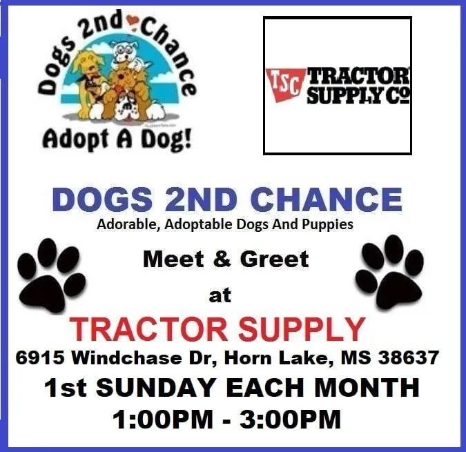 SUNDAY JAN 5, 2020: ADOPTABLE DOG MEET & GREET AT TRACTOR SUPPLY, 6915 WINDCHASE DR., HORN LAKE, MS 38637 1ST SUNDAY EACH MONTH 1-3PM