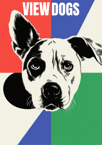 Dogs 2nd Chance 6 View adoptable rescue dogs available through Dogs 2nd Chance