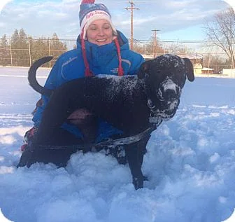 Chowder is an Adoptable Black Lab Dog! 1 Volunteer with the Chowder puppy