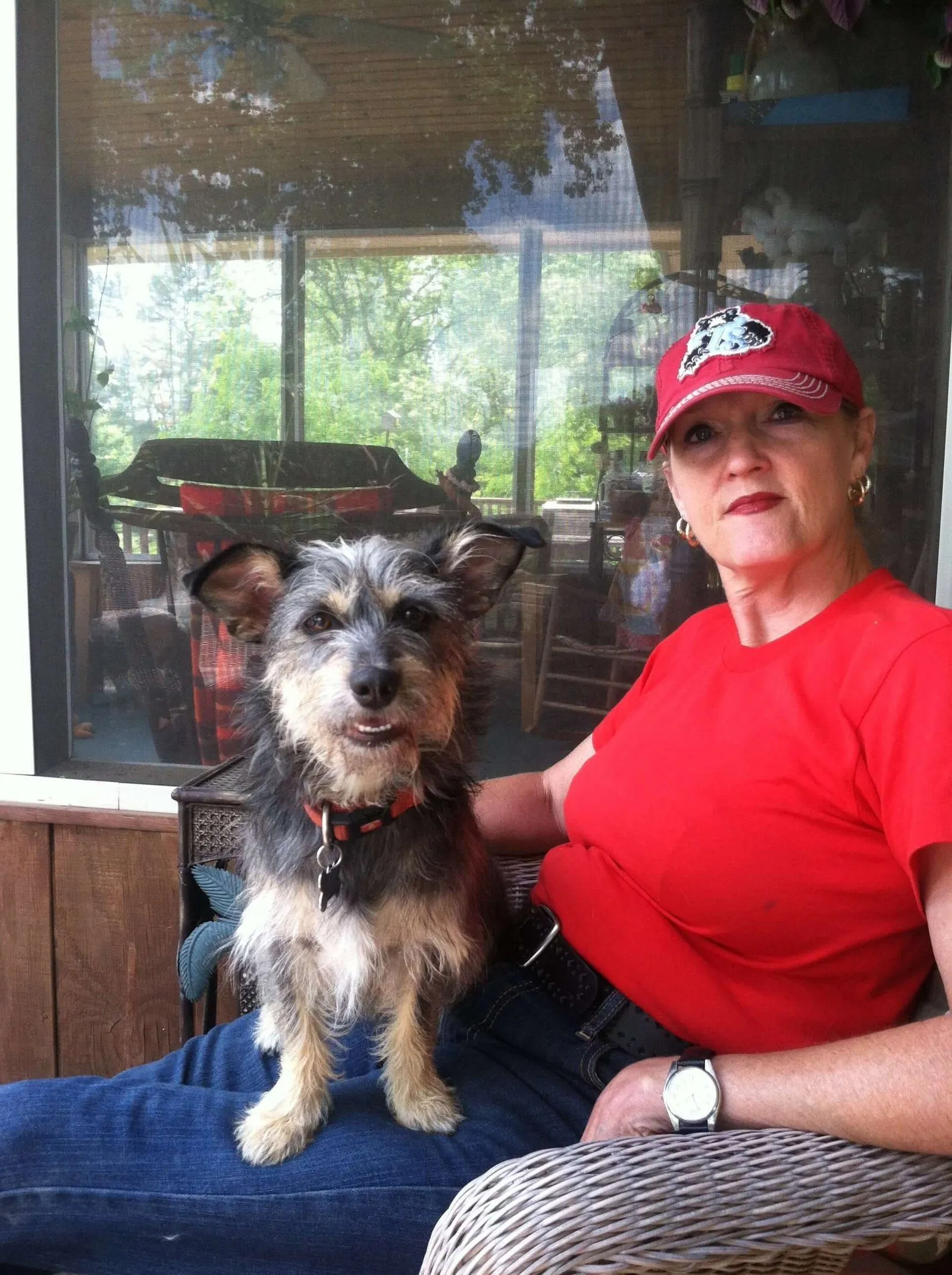 d2c adopter ken