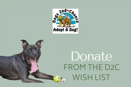 Donate from Our Wish List