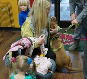 Volunteer Application Form 6 Volunteers Introduce dogs to families.