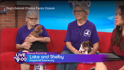 Dogs 2nd Chance 5 Dogs 2nd Chance volunteers Lake and Shelby discussing the rescue's possible closure on WREG Live at 9