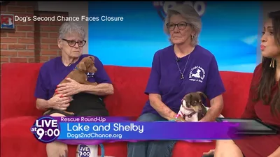 Dogs 2nd Chance volunteers Lake and Shelby discussing the rescue's possible closure on WREG Live at 9