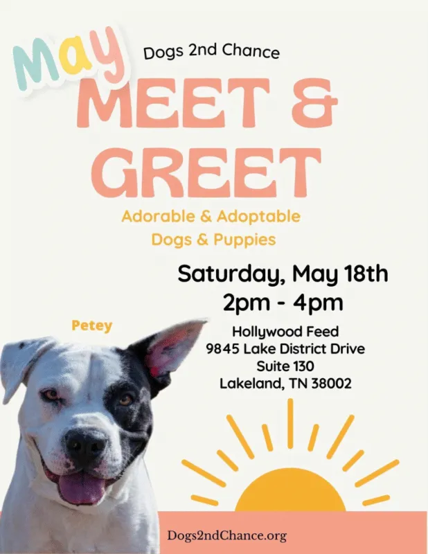 dogs 2nd chance meet greet sat may 18