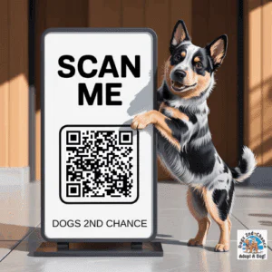 QR code to scan and donate via PayPal