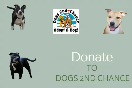 Donate
