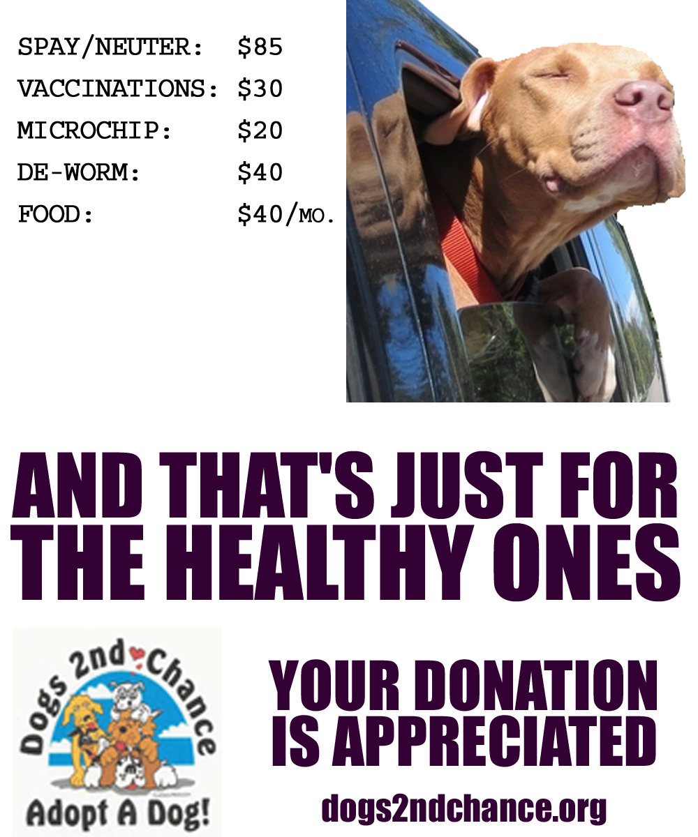 Cost of Rescuing a Dog
