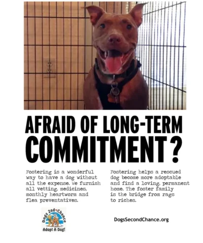 Infographic describing the Dogs 2nd Chance foster commitment