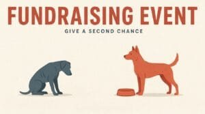 Fundraising event