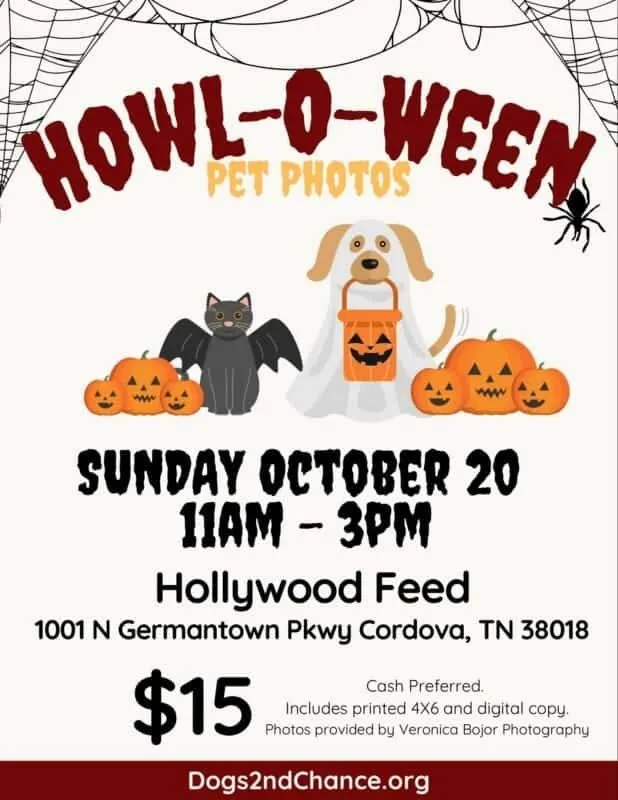 Halloween Pet Photos 2 Halloween pet photos - Howl-o-Ween Pet Photos - Sunday october 20, 2024 - 11 am - 3pm - Hollywood Feed - Cordova - $15
