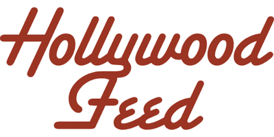 Dogs 2nd Chance 14 Hollywood Feed