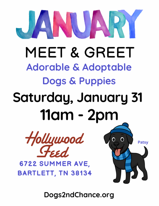 Meet & Greet Adorable and Adoptable Dogs and Puppies. Saturday Jan 31 2026, 11am-2pm, Hollywood Feed, 6722 Summer Ave., Bartlett TN 38134