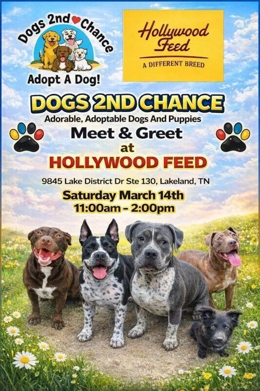 March 14, Hollywood Feed Lakeland Dog Adoption Meet & Greet 4 dogs 2nd chance meet and greet adoptable dogs and puppies, saturday march 14, 2026, 11a-2p, Lakeland TN Hollywood Feed