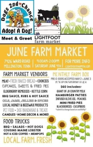 Lightfoot farm june 2022 adoption event