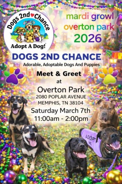 Dogs 2nd Chance Meet & Greet adorable puppies and dogs for adoption, Overton Park, 2080 Poplar Ave., Memphis, TN 38104, Saturday, March 7th, 11a-2p, Mardi Growl Overton Park 2026