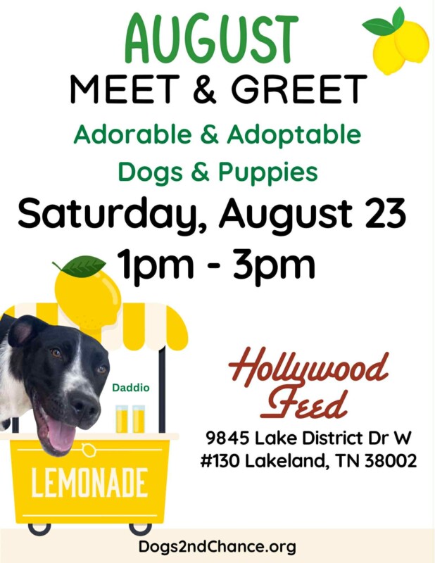 August Meet & Greet. Adorable and Adoptable Dogs and Puppies. Saturday Aug 23, 2025, 1-3pm, Hollywood Feed
