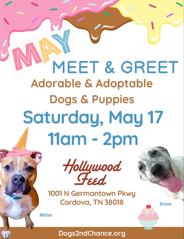 Adorable Adoptable Dogs and Puppies! Meet and Greet, Hollywood Feed, 1001 N Germantown Parkway, Cordova, TN 30010 SAT JAN 20th 2024, 12pm - 2pm