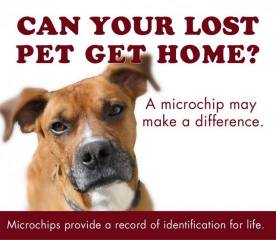 Microchip your dog or cat July 19 2015