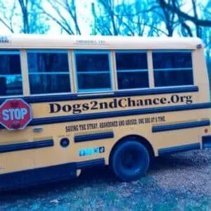 Saddle Creek Adoption Event 3 mutt mobile e1683959274708