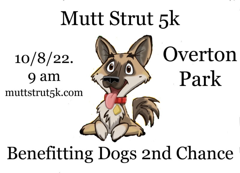 Register for the Mutt Strut 5k here