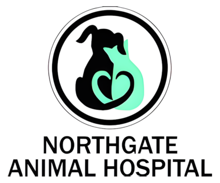 Northgate Animal Hospital
