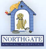 Northgate animal hospital