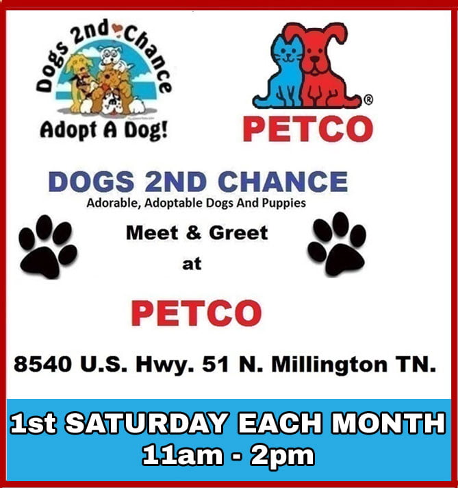 Meet adoptable dogs at Petco, 8540 US Hwy. 51, N. Millington, TN, the 1st saturday of each month, 11am to 2pm