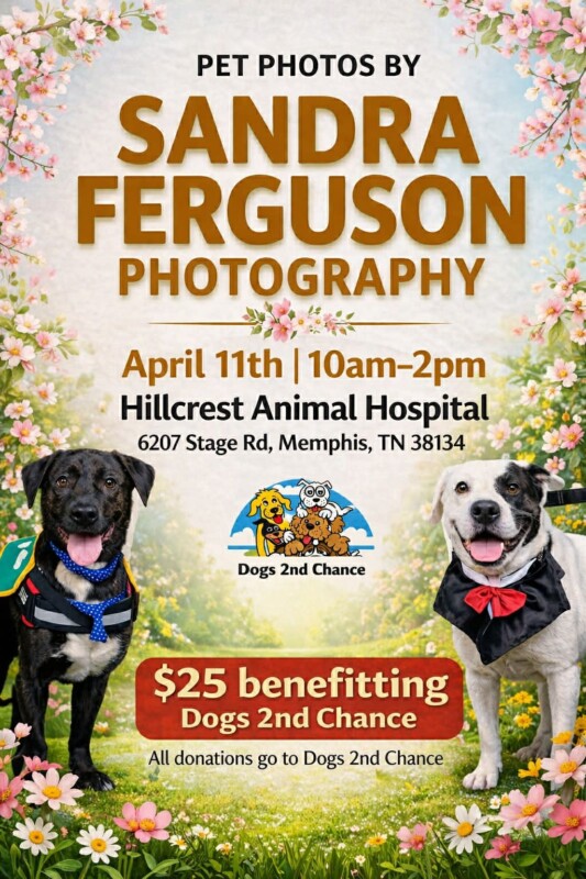 Pet Photos by Sandra Ferguson Photography, April 11th, 2026, 10a-2p, hillcrest Animal Hospital, 6207 Stage Rd., Memphis, TN 38134, $25 Benefitting Dogs 2nd Chance, All Donations go to Dogs 2nd Chance