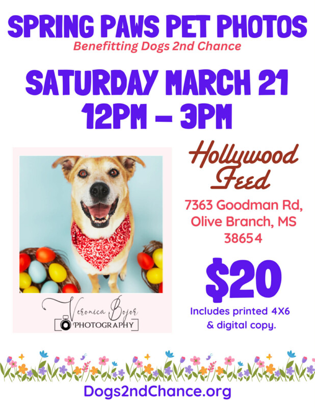 Spring Paws Pet Photos Saturday, March 21, 2026, 12pm-3pm, Hollywood Feed, Olive Branch MS