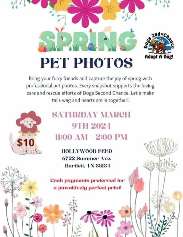 Spring Pet Photos 3 Spring 2024 Pet Photos