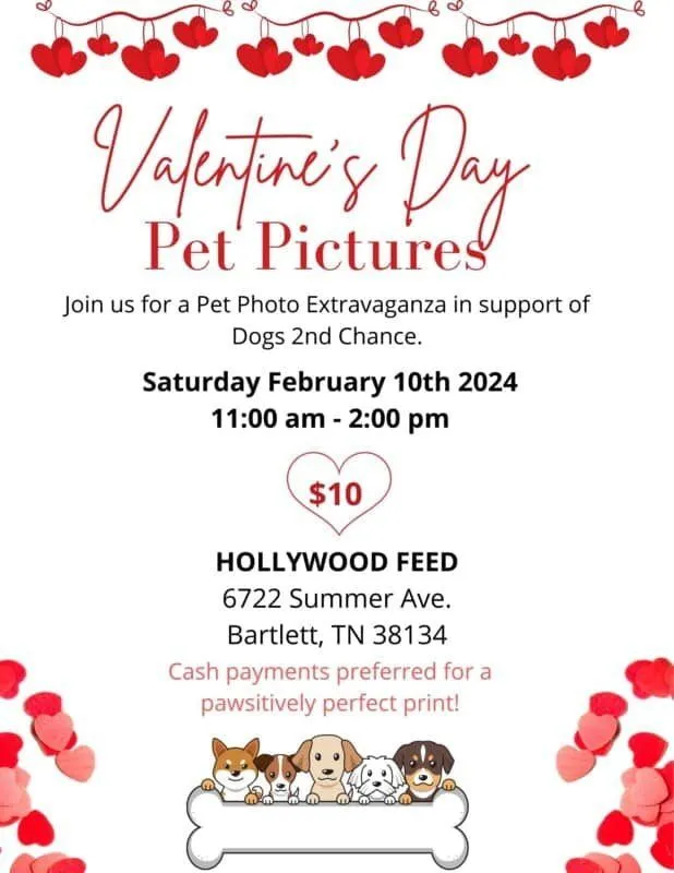 Valentine's Day Pet Pictures 5 Valentine's Day Pet Pictures, join us for a Pet Photo Extravaganza in support of DOGS 2ND CHANCE. Saturday FEB 10 2024, 11am - 2pm, Hollywood Feed, 6722 Summer Ave., Bartlett, TN 38134